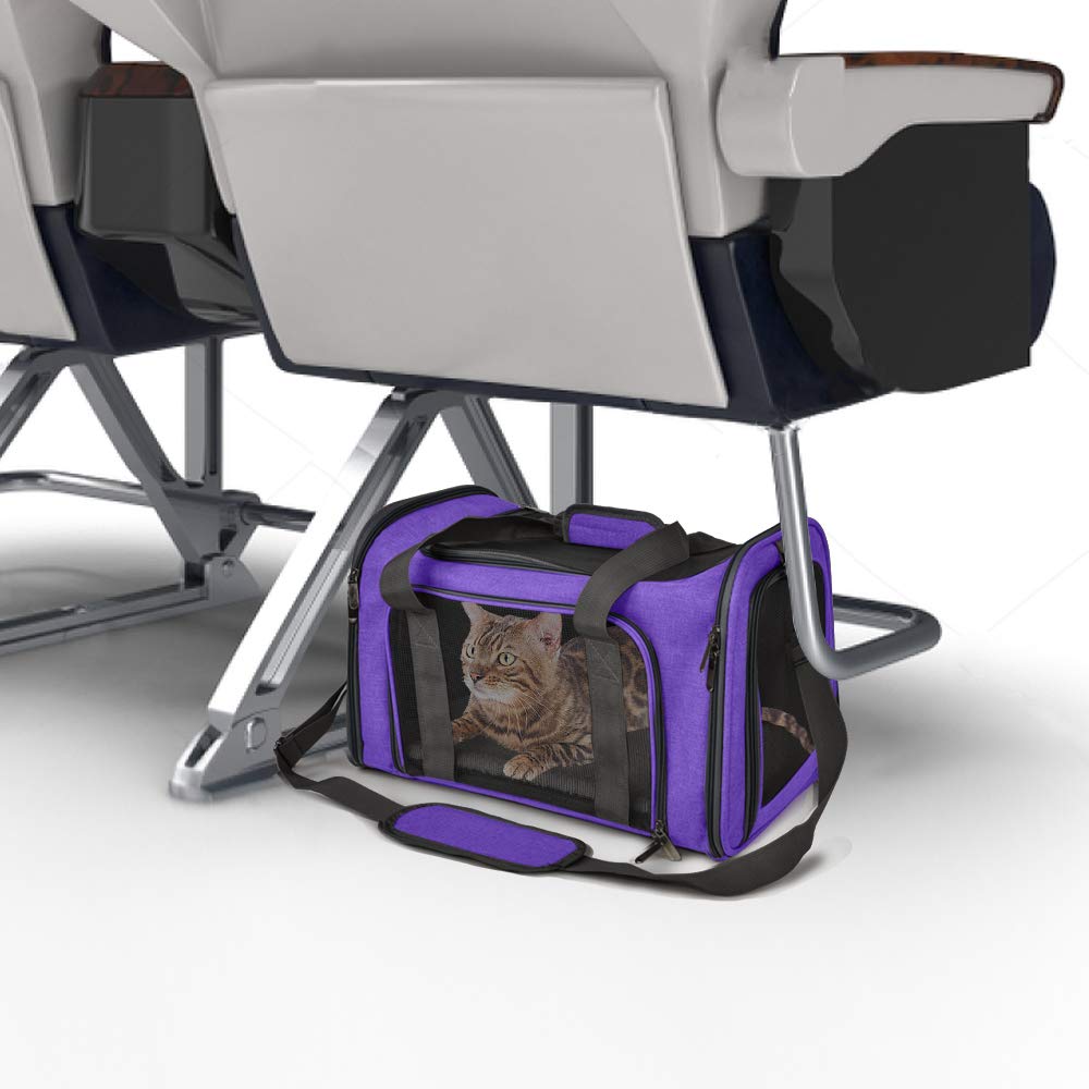 Henkelion pet carrier with four-side mesh for visibility and airflow.