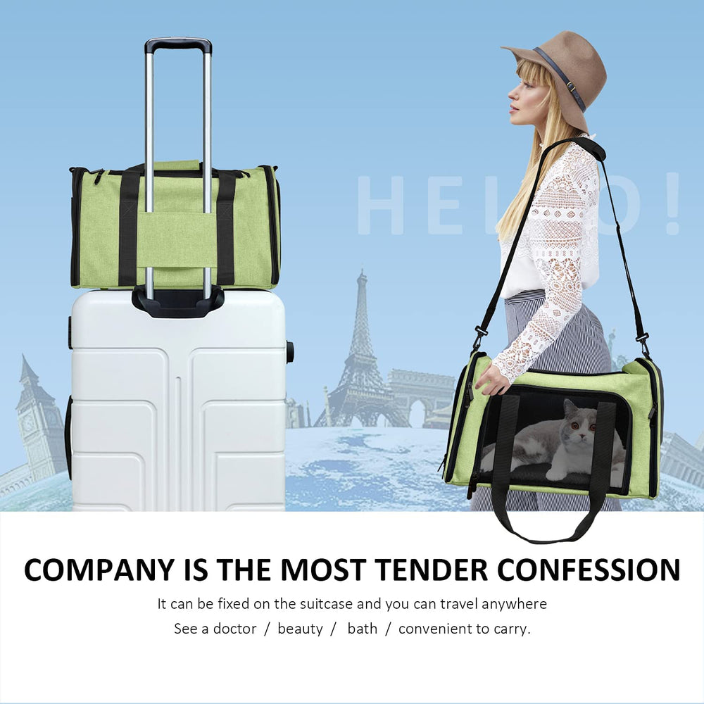 Henkelion pet carrier green color close-up showcasing stylish, lightweight option.