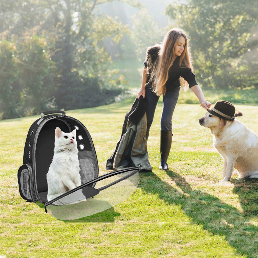 Henkelion pet carrier outdoors ready for hiking, camping, and outdoor walks.
