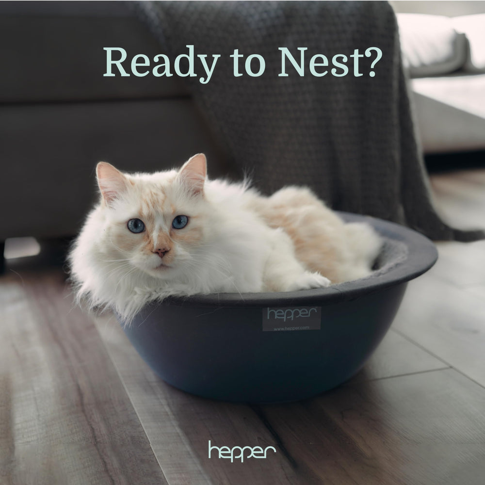 Hepper Cat Nest small indoor cat bed ideal for apartments and quiet corners