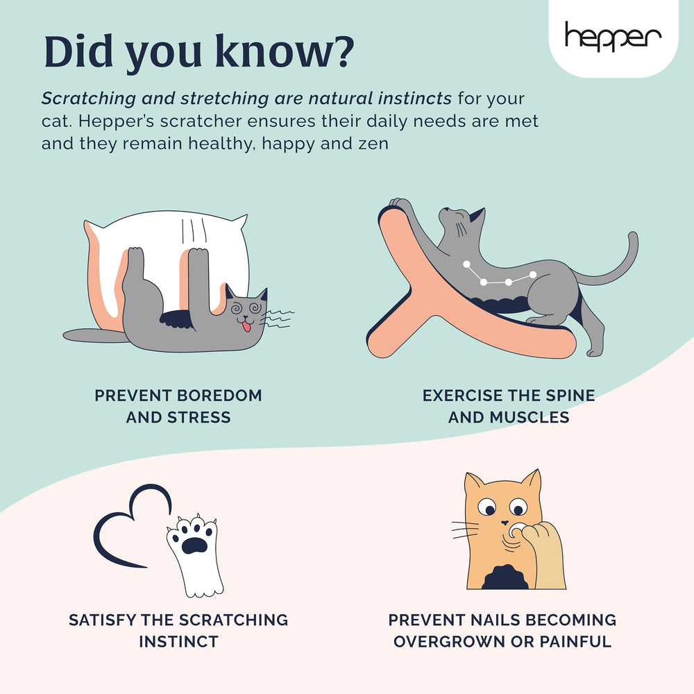 Hepper Hi-Lo sturdy metal-core frame supports vigorous scratching for large cats