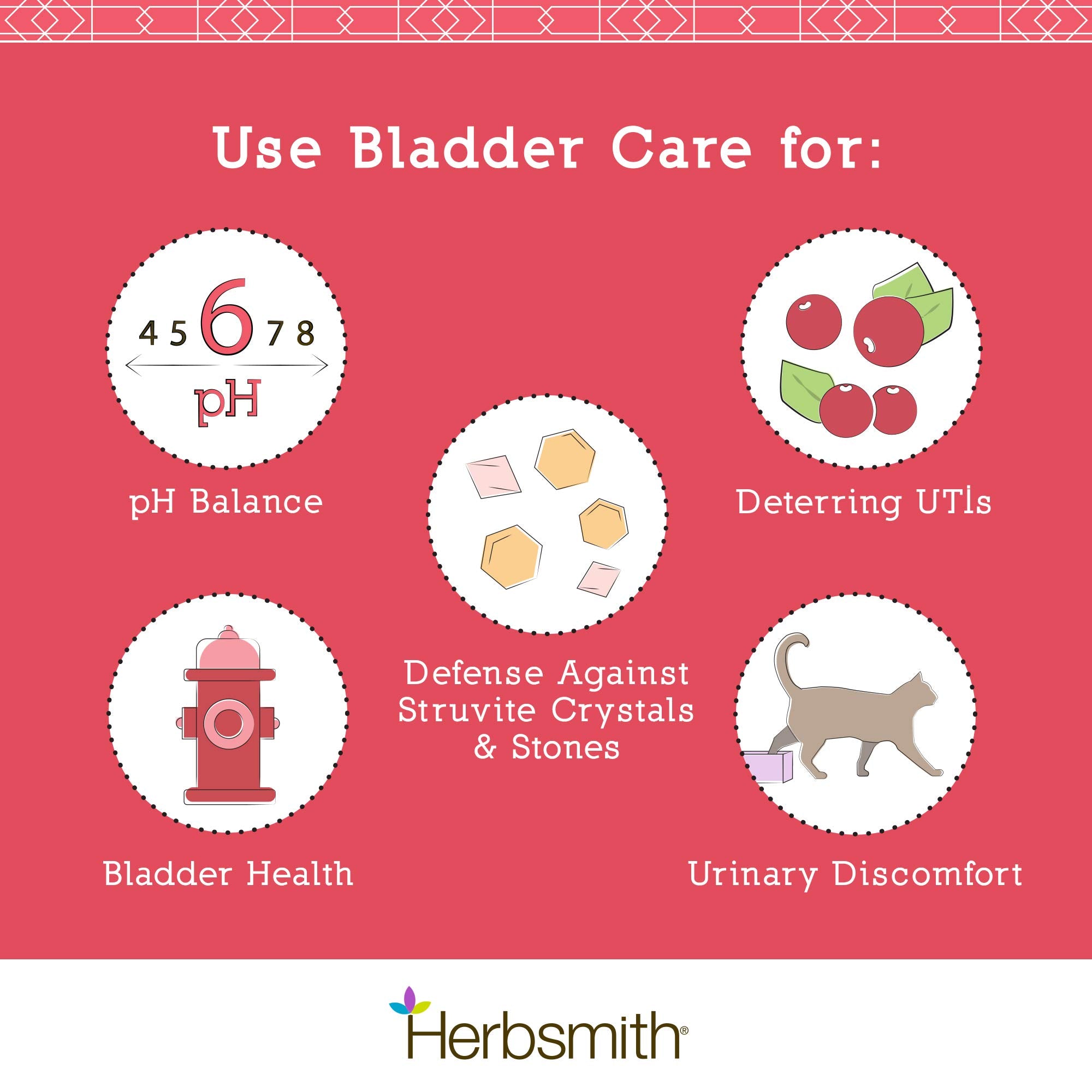 Herbsmith Bladder Care cat feeding shot showing powder mixed with meals for urinary support.
