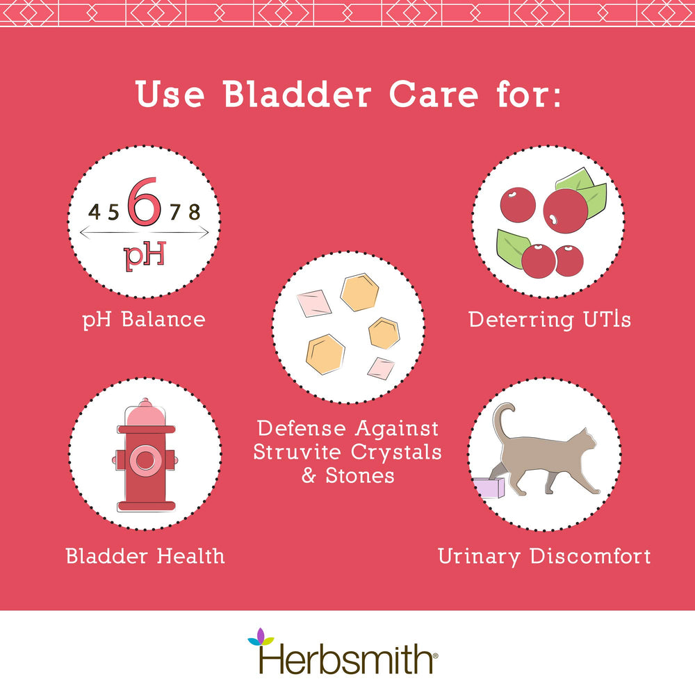 Herbsmith Bladder Care cat feeding shot showing powder mixed with meals for urinary support.