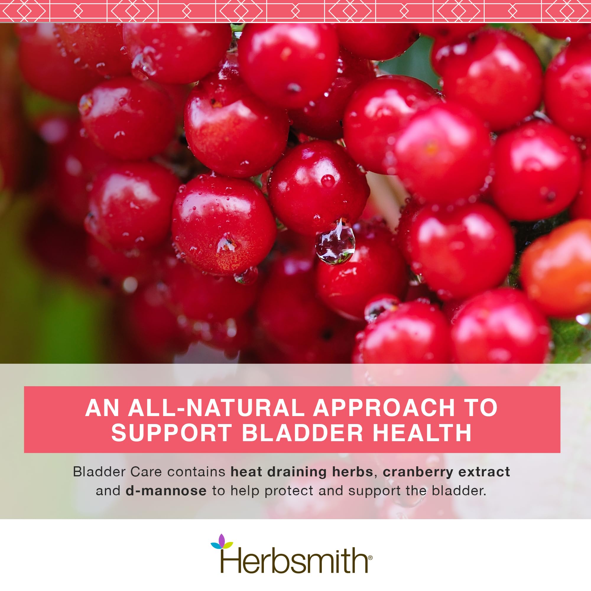 Herbsmith Bladder Care cranberry-d-mannose ingredients emphasizing bacteria-fighting components