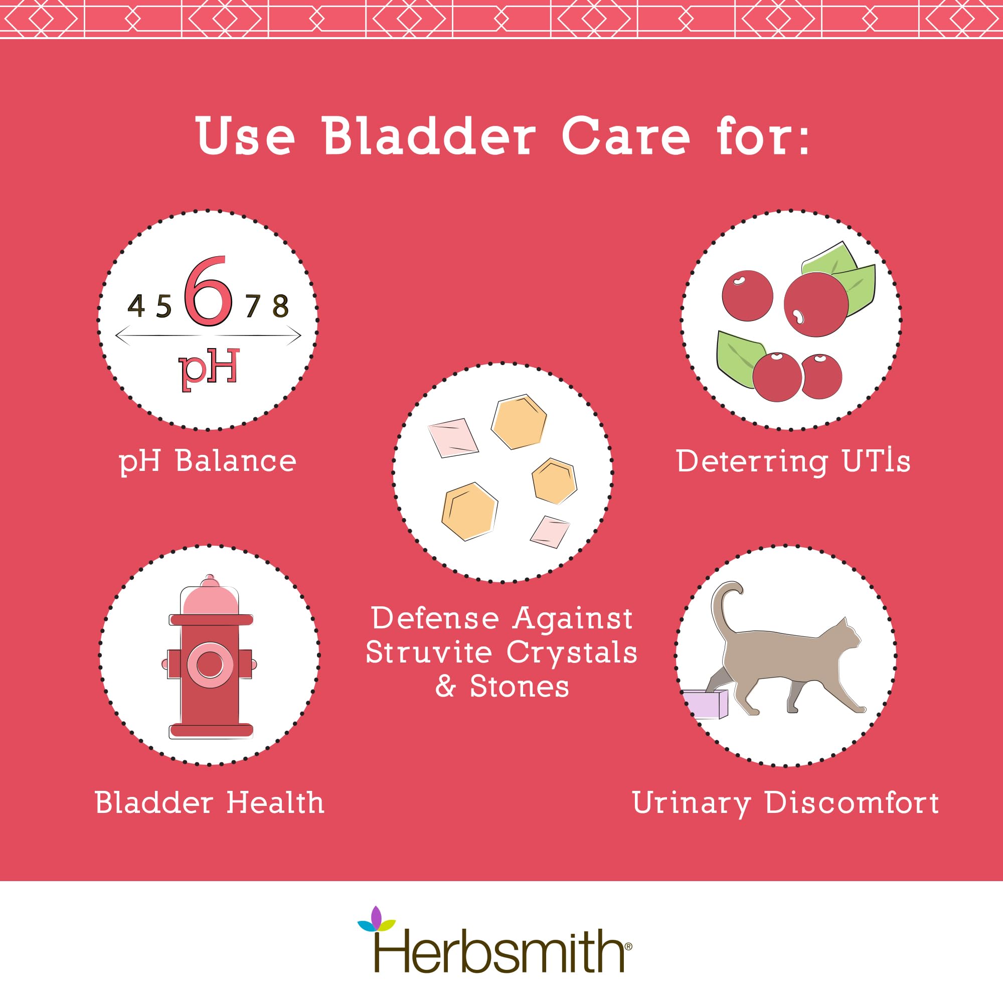 Herbsmith Bladder Care kidney health information card highlights pH balance benefits