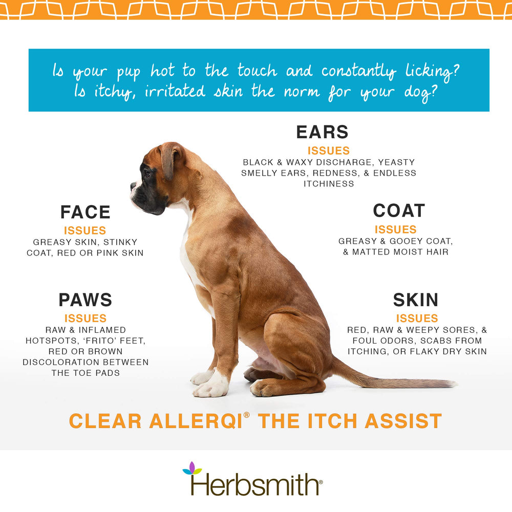 Herbsmith Clear AllerQi tub back with dosing guidance and ingredients.