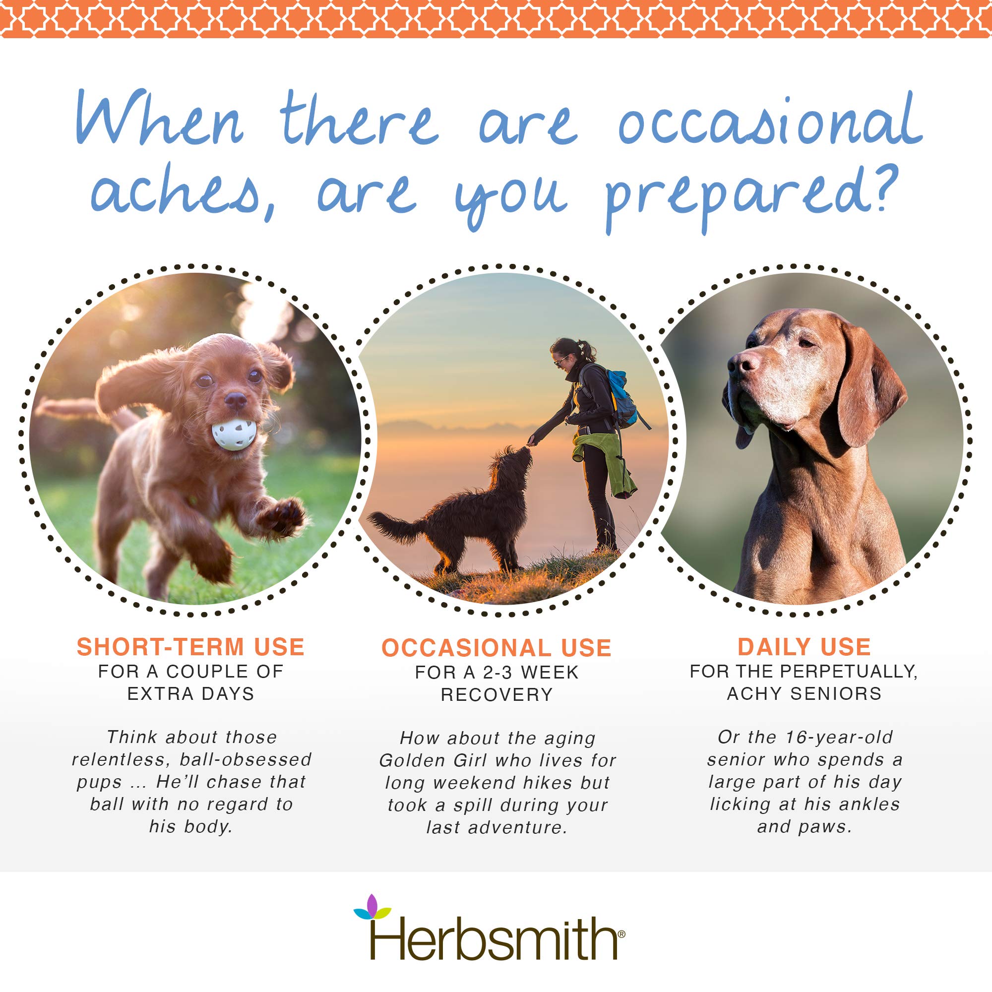 Herbsmith Comfort Aches tablets-closeup highlighting easy-to-give joint support.