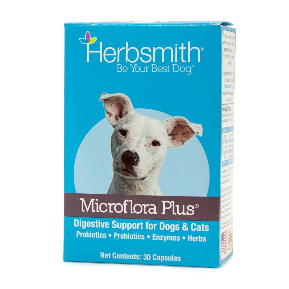 Herbsmith Microflora Plus capsules close-up for daily probiotic support