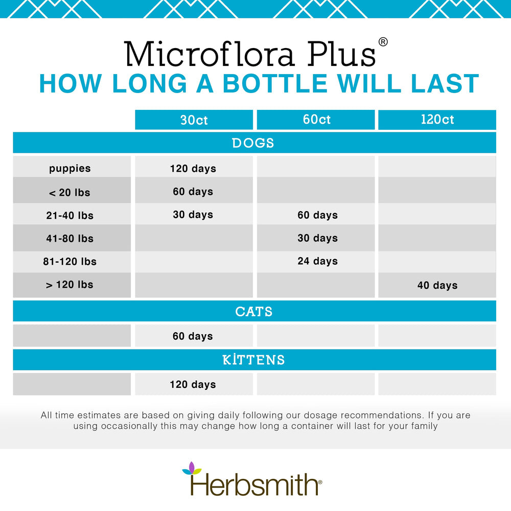 Herbsmith Microflora Plus dog with relaxed tummy after routine use.