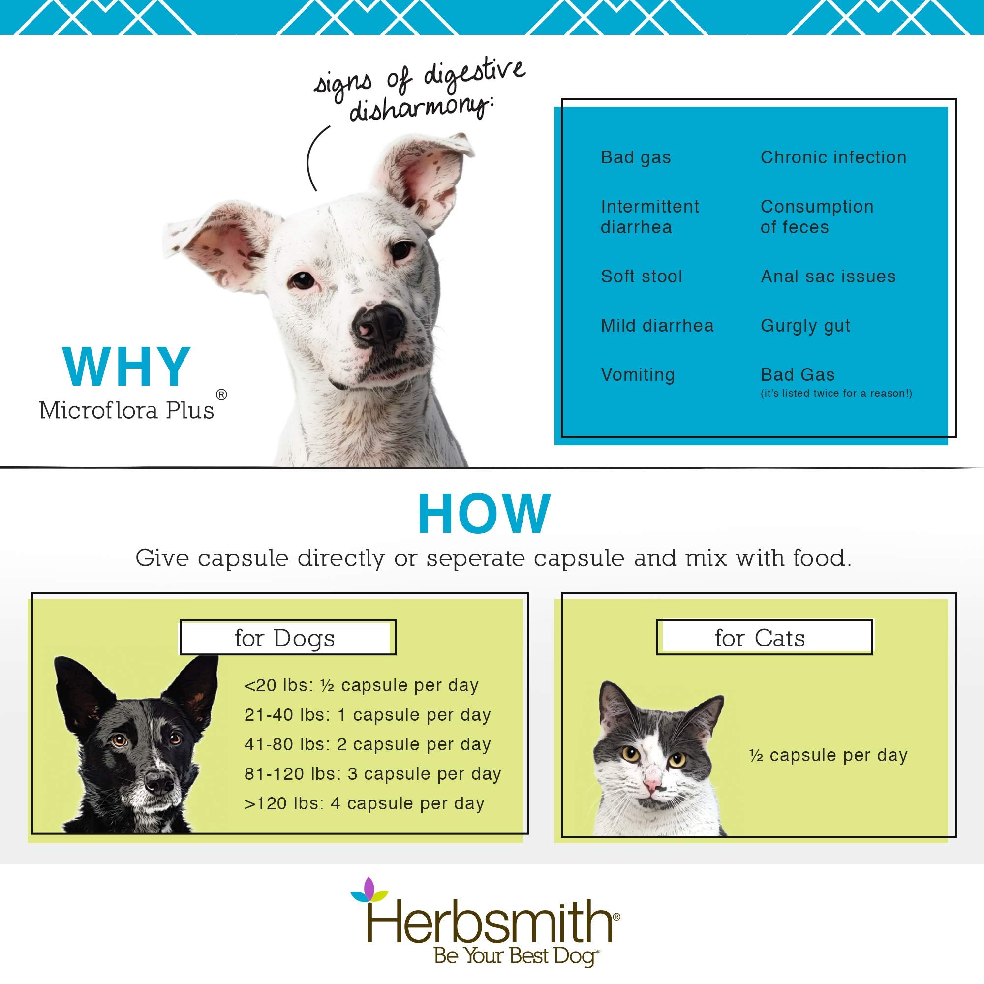 Herbsmith Microflora Plus dog-walking scene implies daily digestive wellness