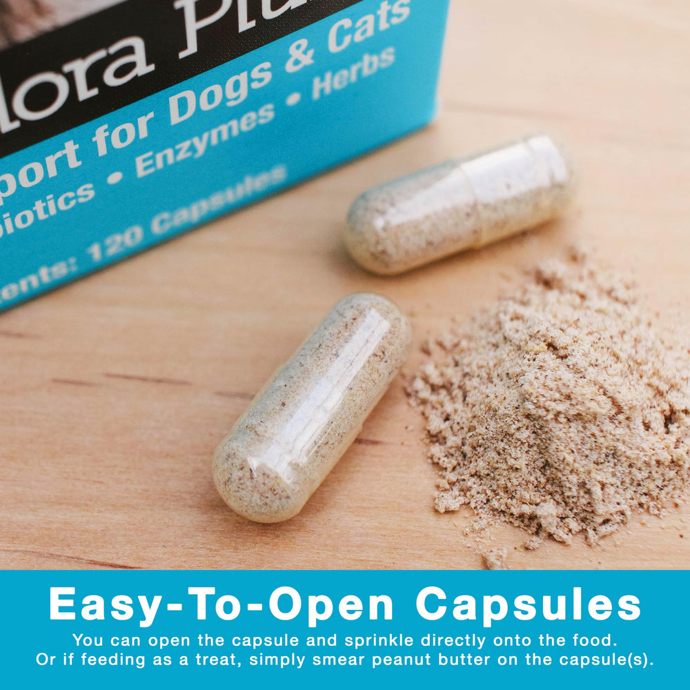 Herbsmith Microflora Plus puppy and owner illustrate a routine supplement moment.