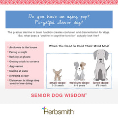 Herbsmith Senior Dog Wisdom brain-health graphic illustrating cognitive support ingredients.