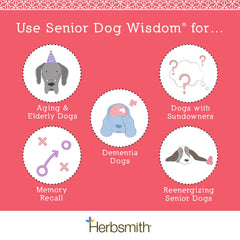 Herbsmith Senior Dog Wisdom happy dog-owner reunion after improved cognition.