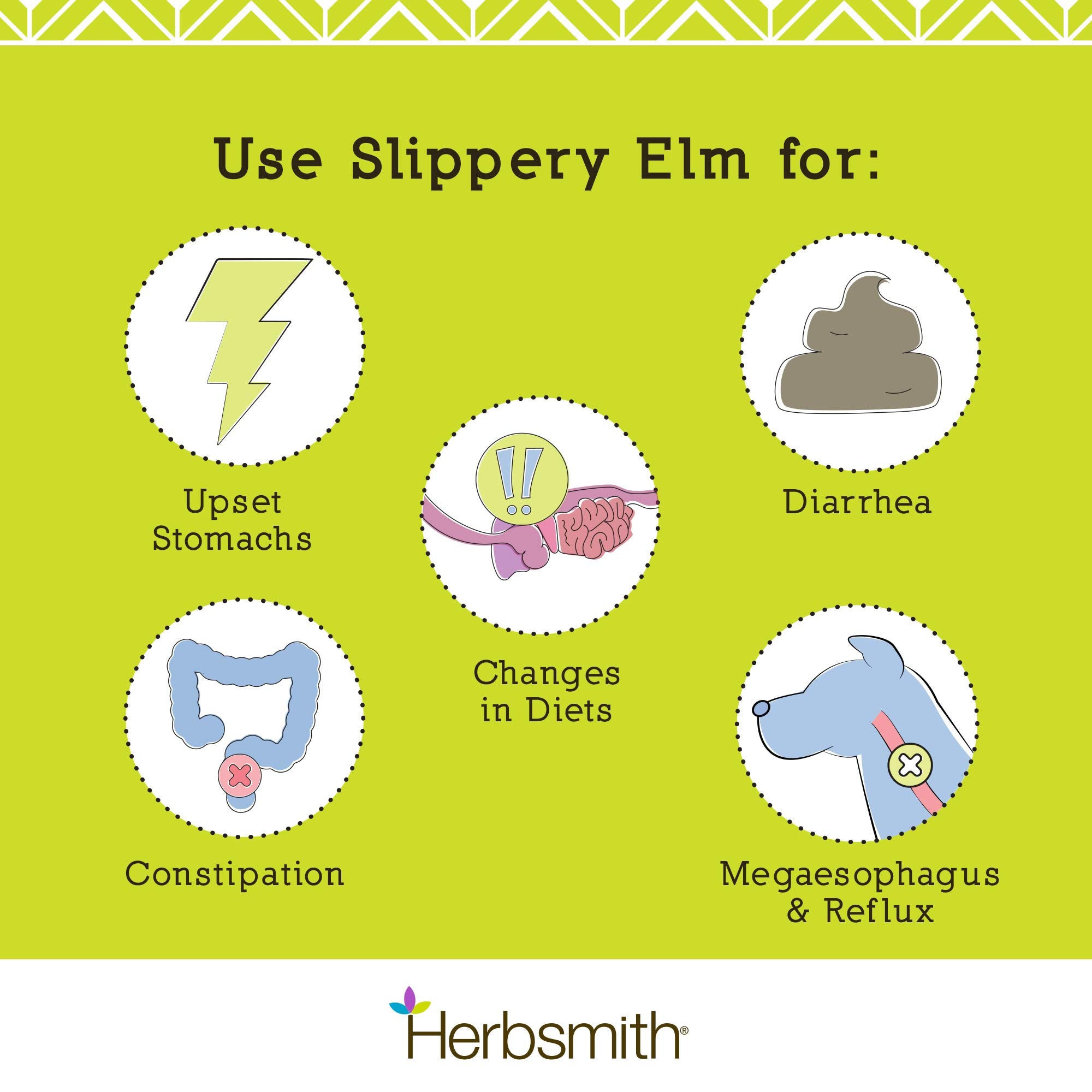 Herbsmith slippery elm in a pet’s food bowl illustrates fiber-rich support for regularity.