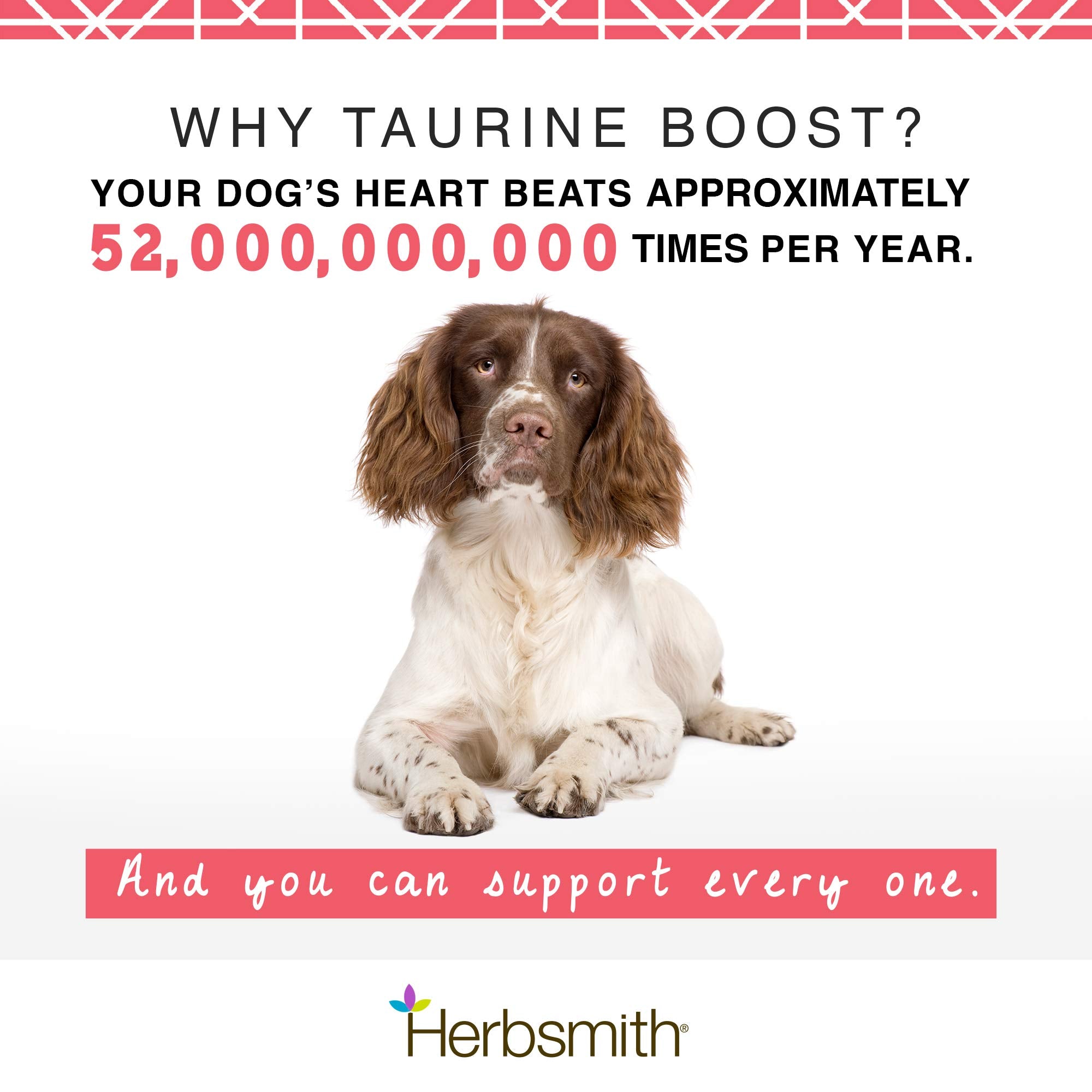 Pouring Herbalsmith Taurine Boost from a scoop into food.