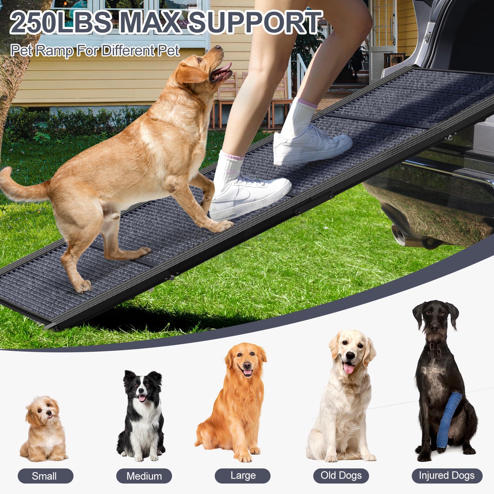HerCcreta wigge dog ramp folded compact for storage