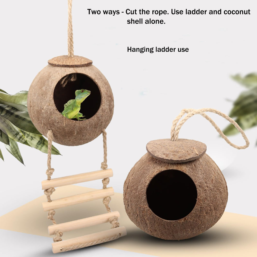 HERCOCCI 3-D habitat-vines create immersive reptile enclosures.