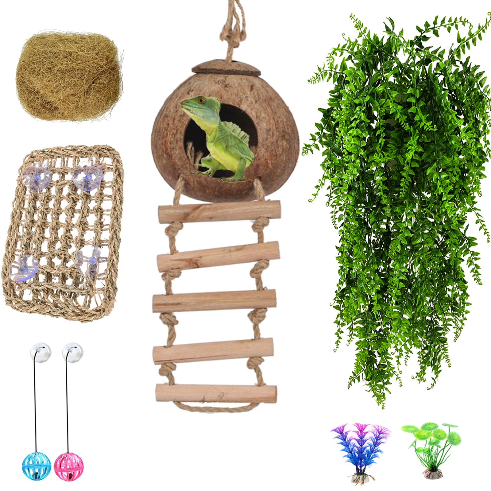 HERCOCCI coconut-house terrarium offers a safe reptile hiding spot.