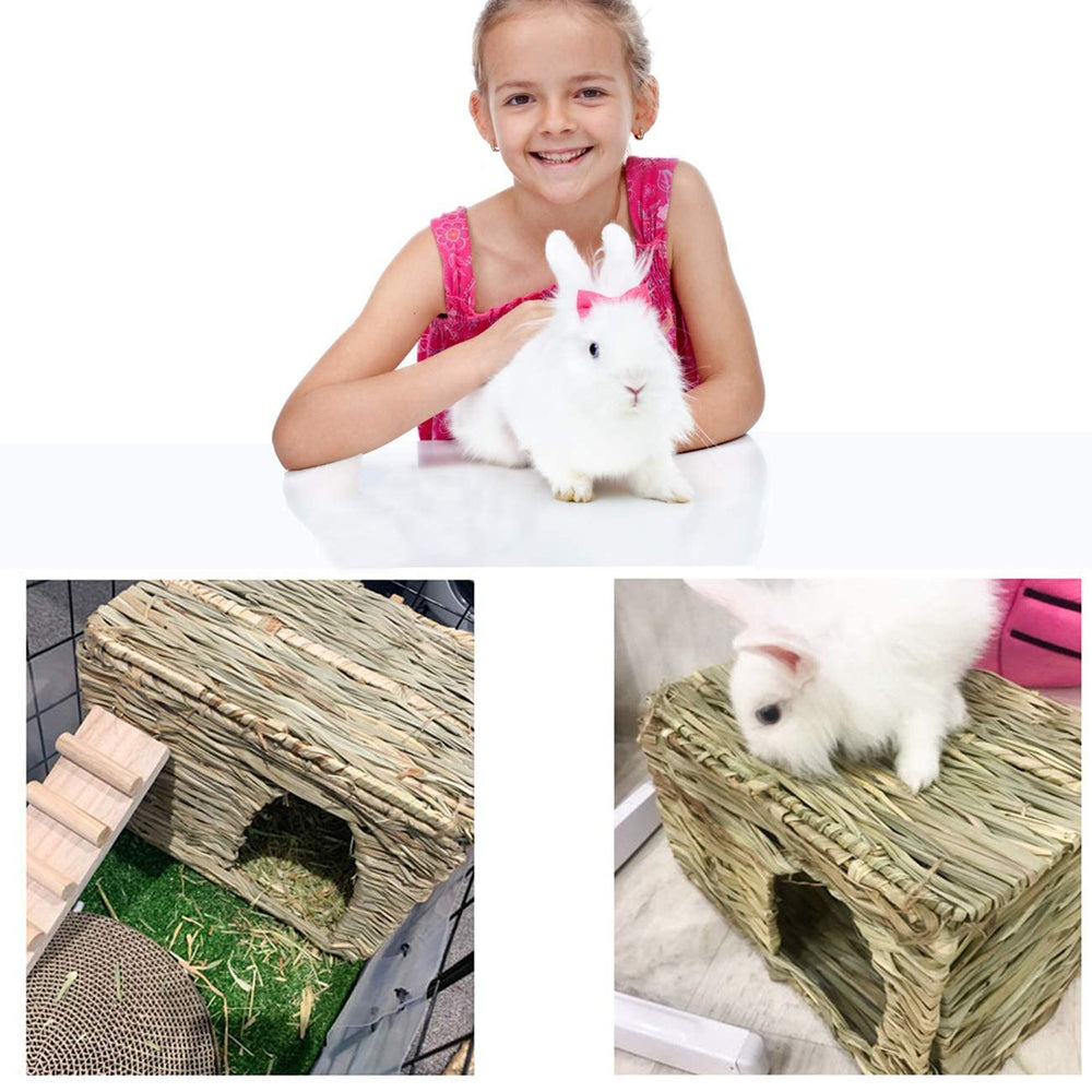 HERCOCCI Grass House textured grass surface emphasizes natural chewing-friendly design