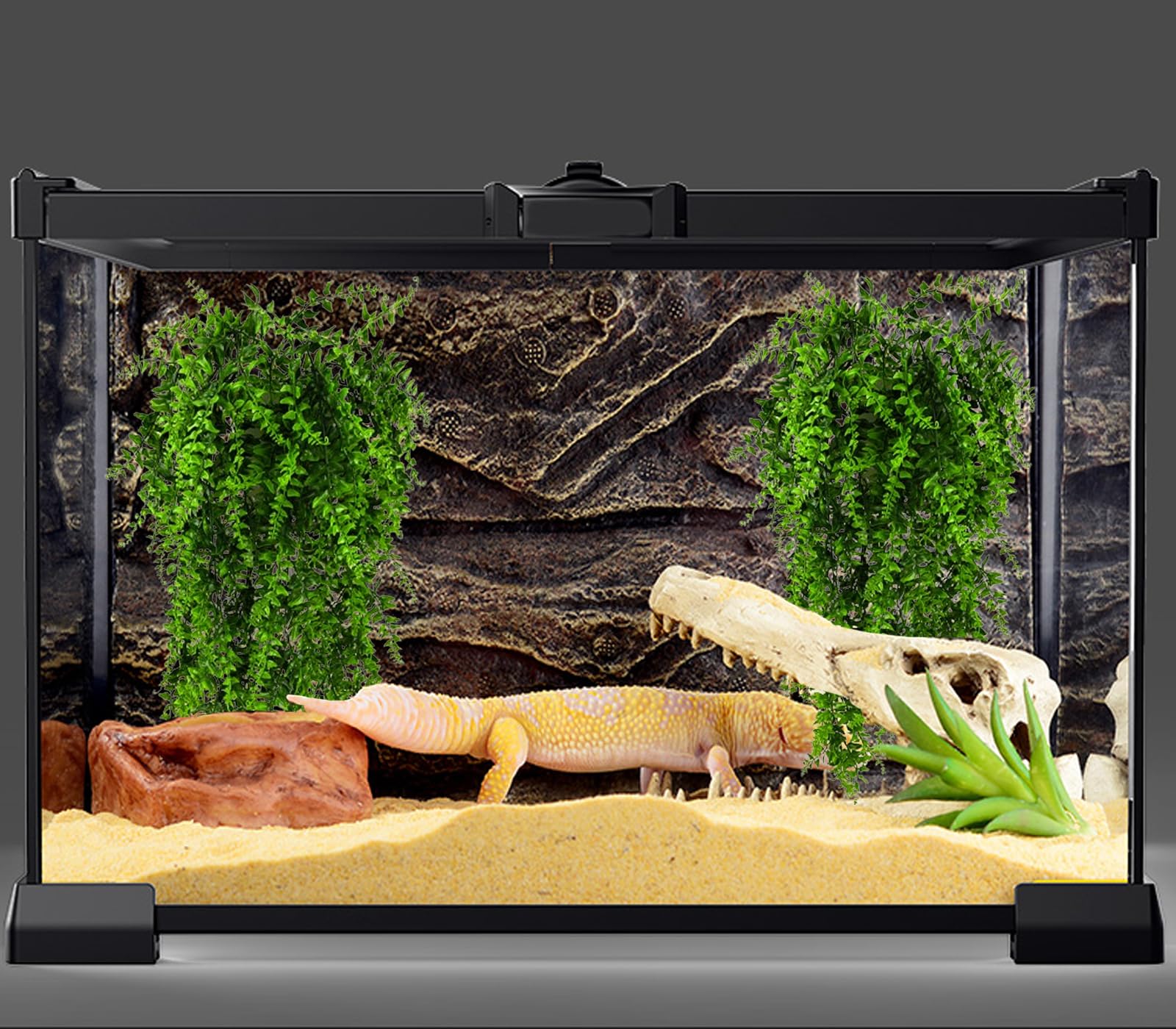 Hercocci plant length 33.1 inches stretched for larger habitats
