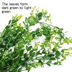 Hercocci reptile leaves close-up showing soft texture for safe decor