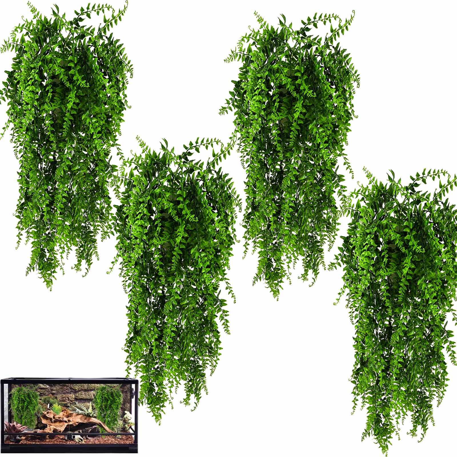 Hercocci reptile plants pack with vibrant leaves for terrarium habitat