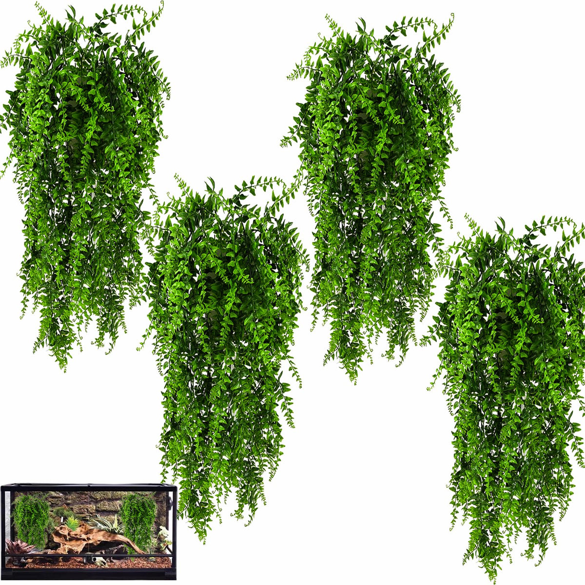 Hercocci reptile plants pack with vibrant leaves for terrarium habitat