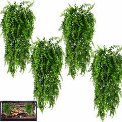 Hercocci reptile plants pack with vibrant leaves for terrarium habitat