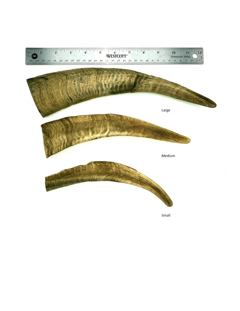 Herders Choice goat horn dental-friendly closeup highlights chew worthy for dental care