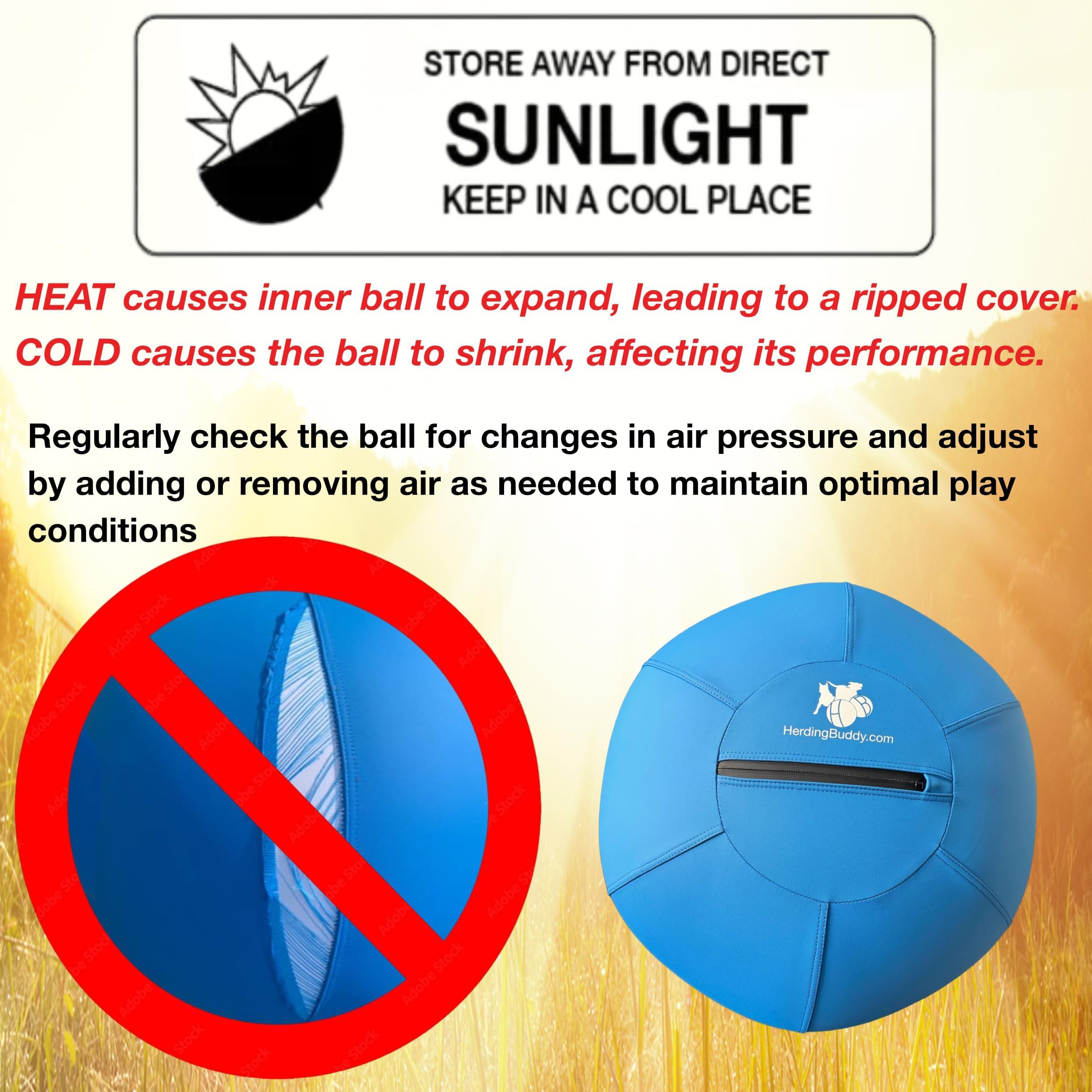 Herding Buddy safety instructions help you supervise play responsibly.