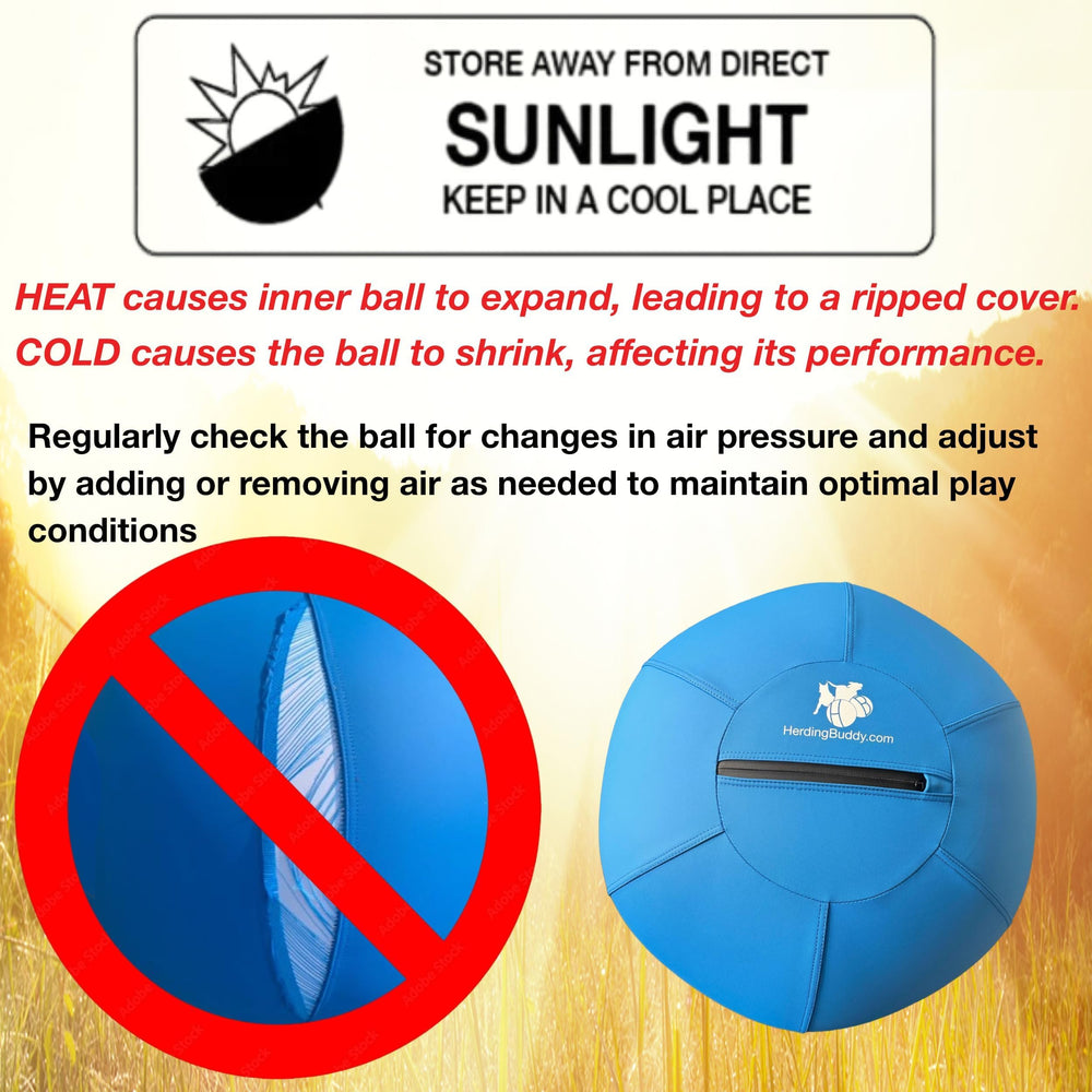 Herding Buddy safety instructions help you supervise play responsibly.