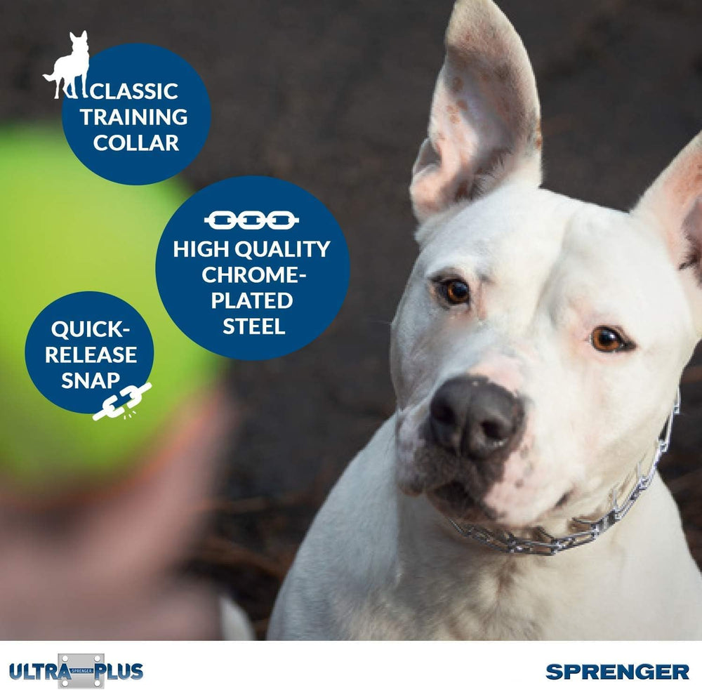 Herm Sprenger 21-inch medium collar ready for leash attachment during daily training