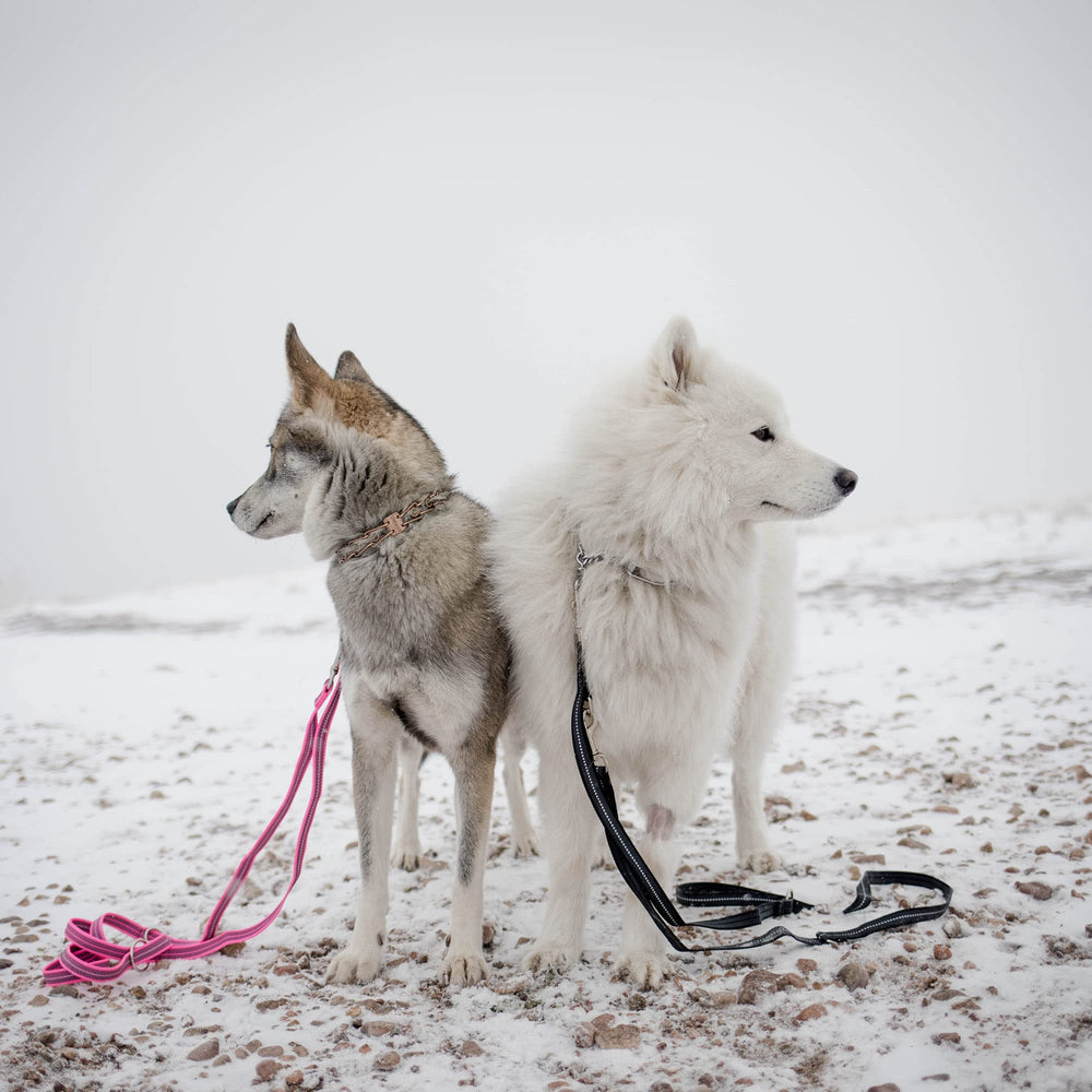 Herm Sprenger pink leash featuring a 360-degree rotating clasp for tangle-free training.