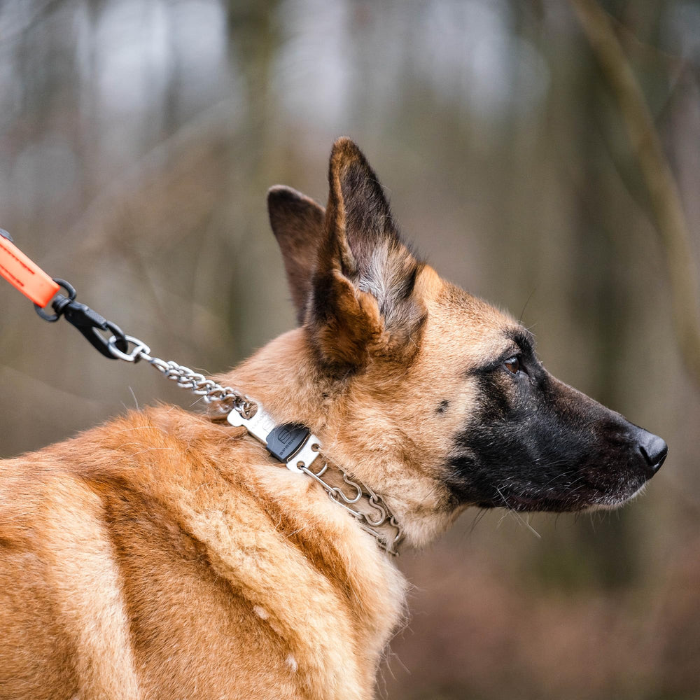 Herm Sprenger 3mm wire-gauge collar combines strength with comfort
