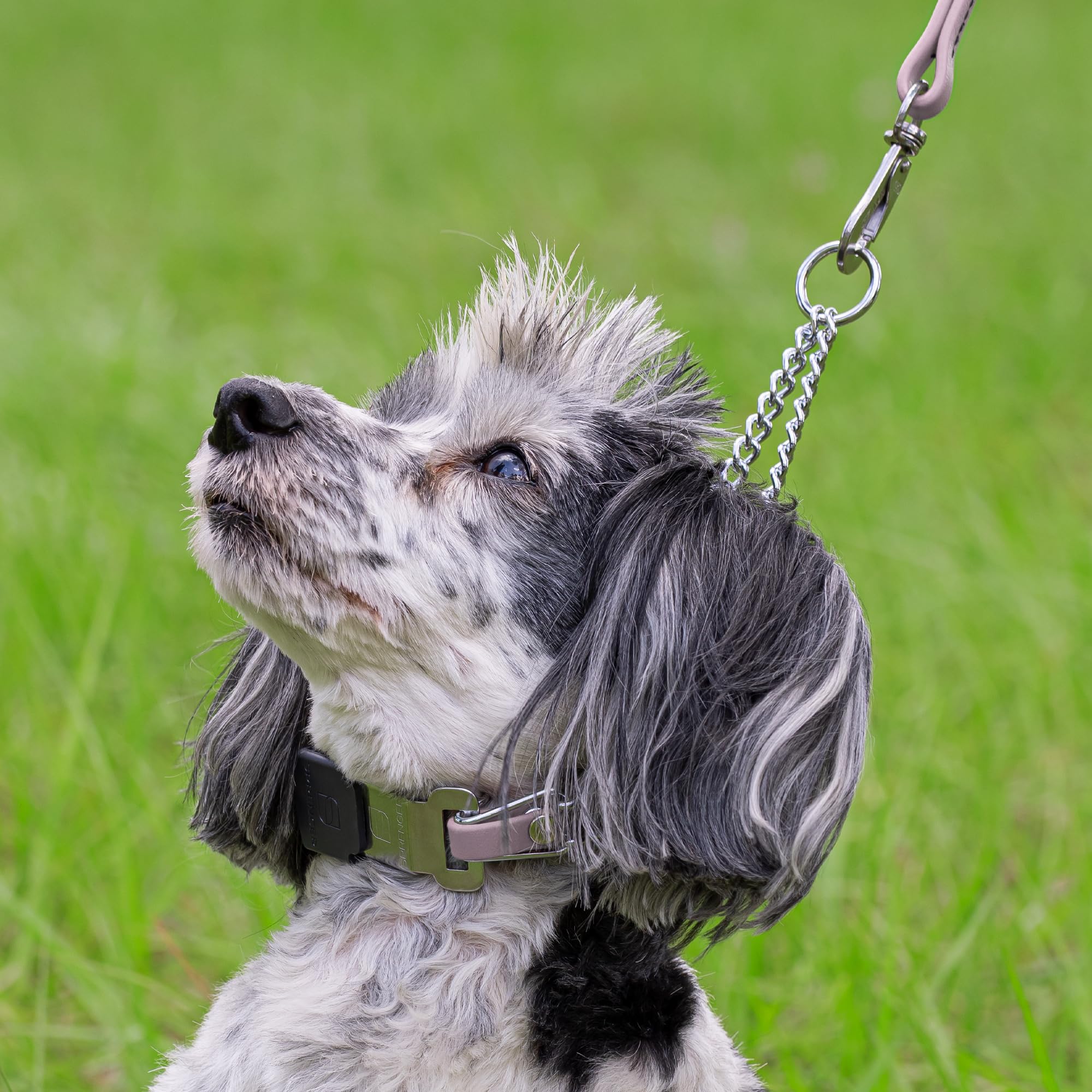 Biothane insert assembled in the USA adds collar stability and security.