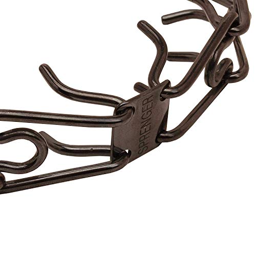 Herm Sprenger black stainless prong collar on dog neck highlighting quick-on/off