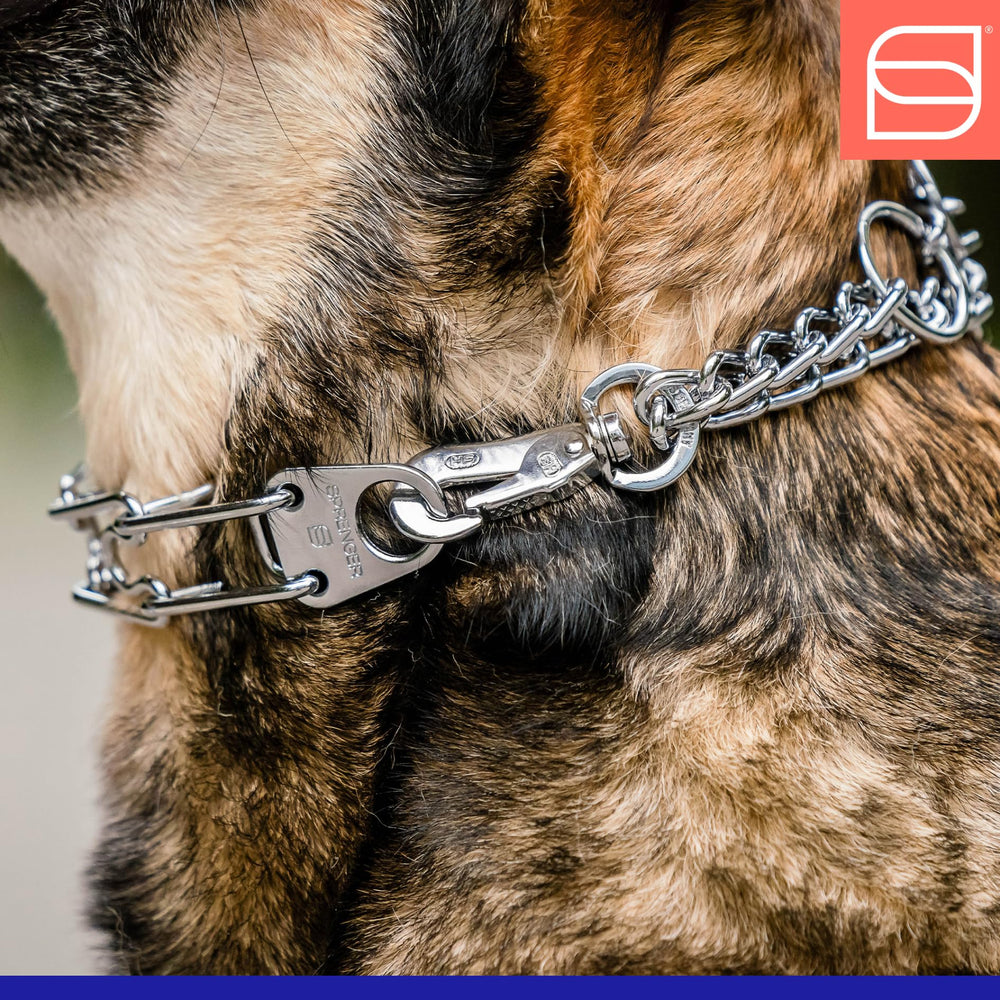 Herm Sprenger chrome-plated steel collar closeup emphasizes durability and rust resistance.