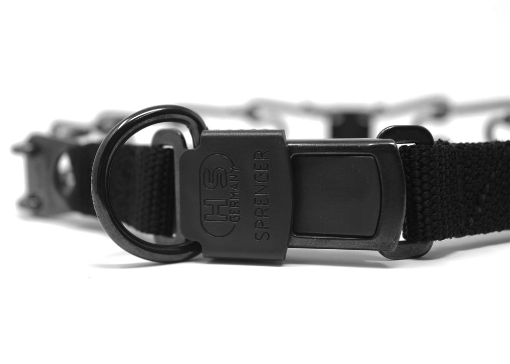 Collar on dog in action demonstrating easy on-off during walks.