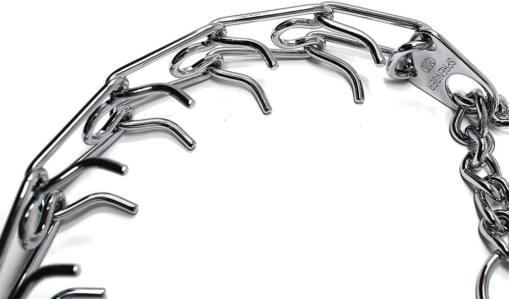 Herm Sprenger collar worn on a dog's neck demonstrates proper positioning