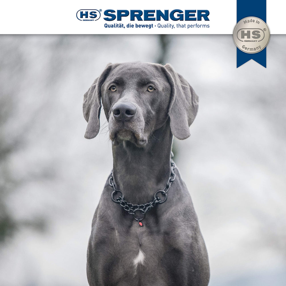Herm Sprenger control loop on training collar showing effective leash tension during walks.
