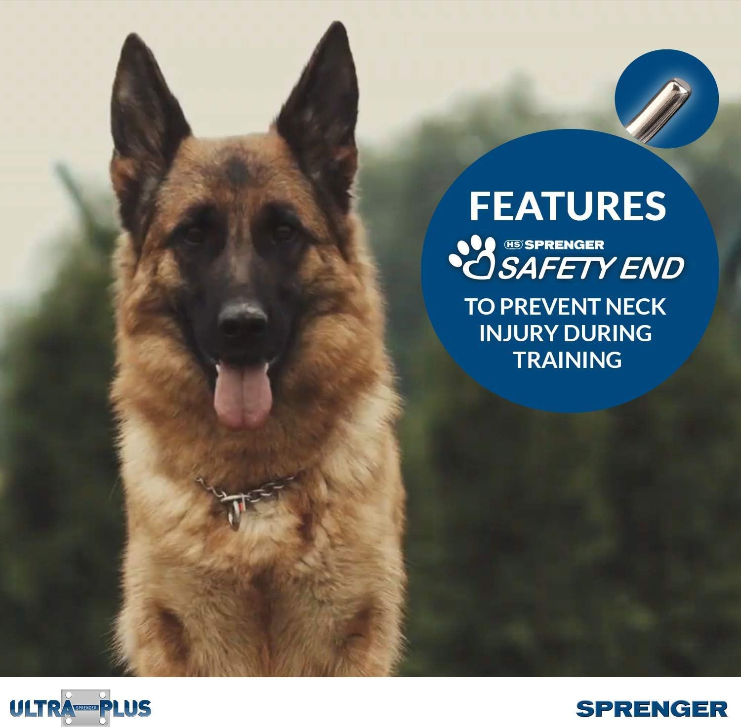 Herm Sprenger D-ring for secure leash attachment during walks