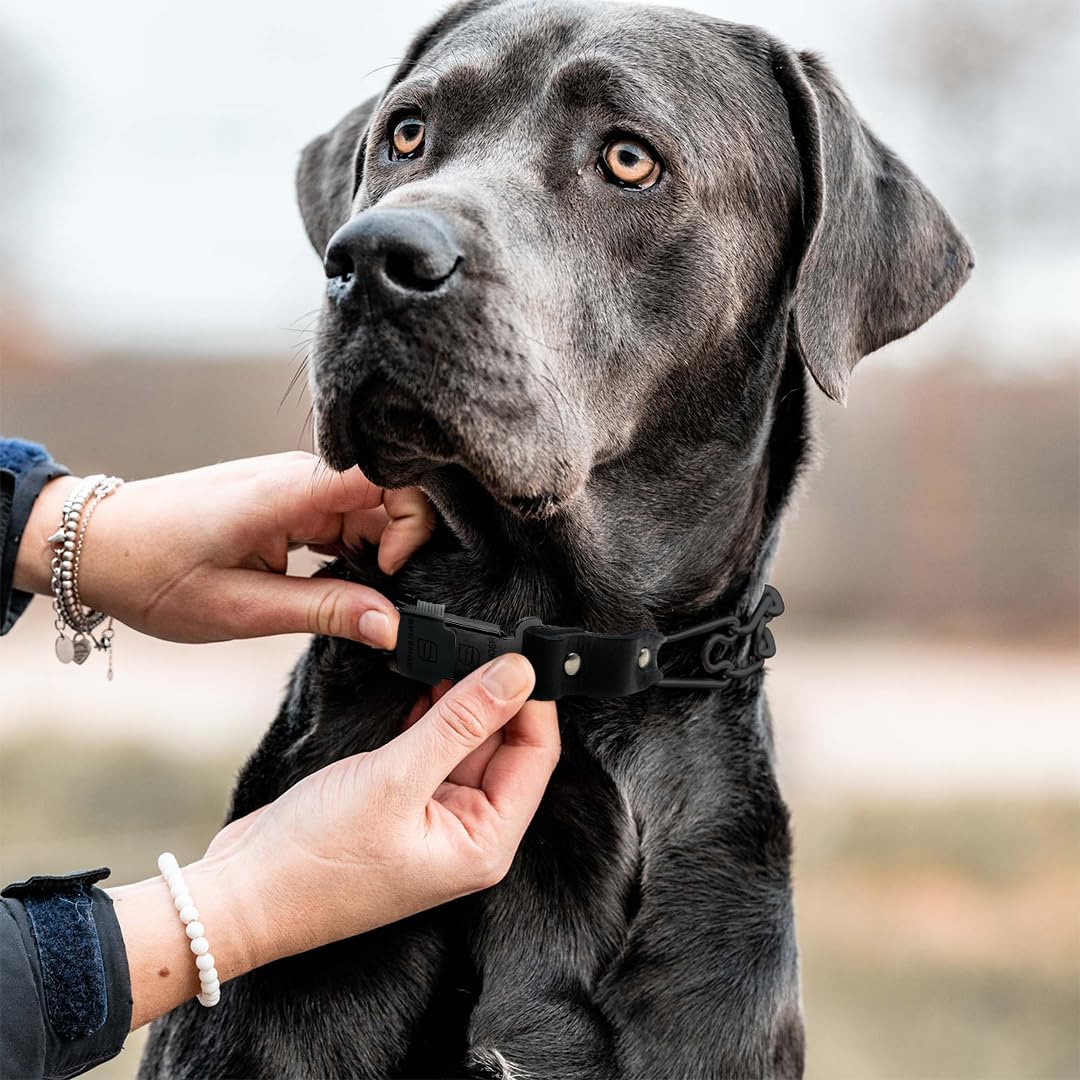 Herm Sprenger dog-training-collar packaging shows authentic HS Germany branding.