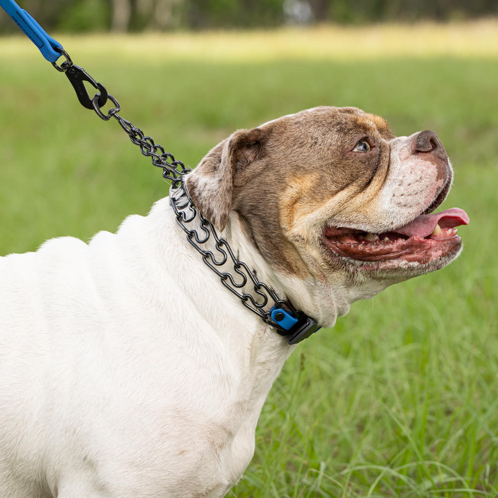 Herm Sprenger German engineering collar exemplifies precision and durability.