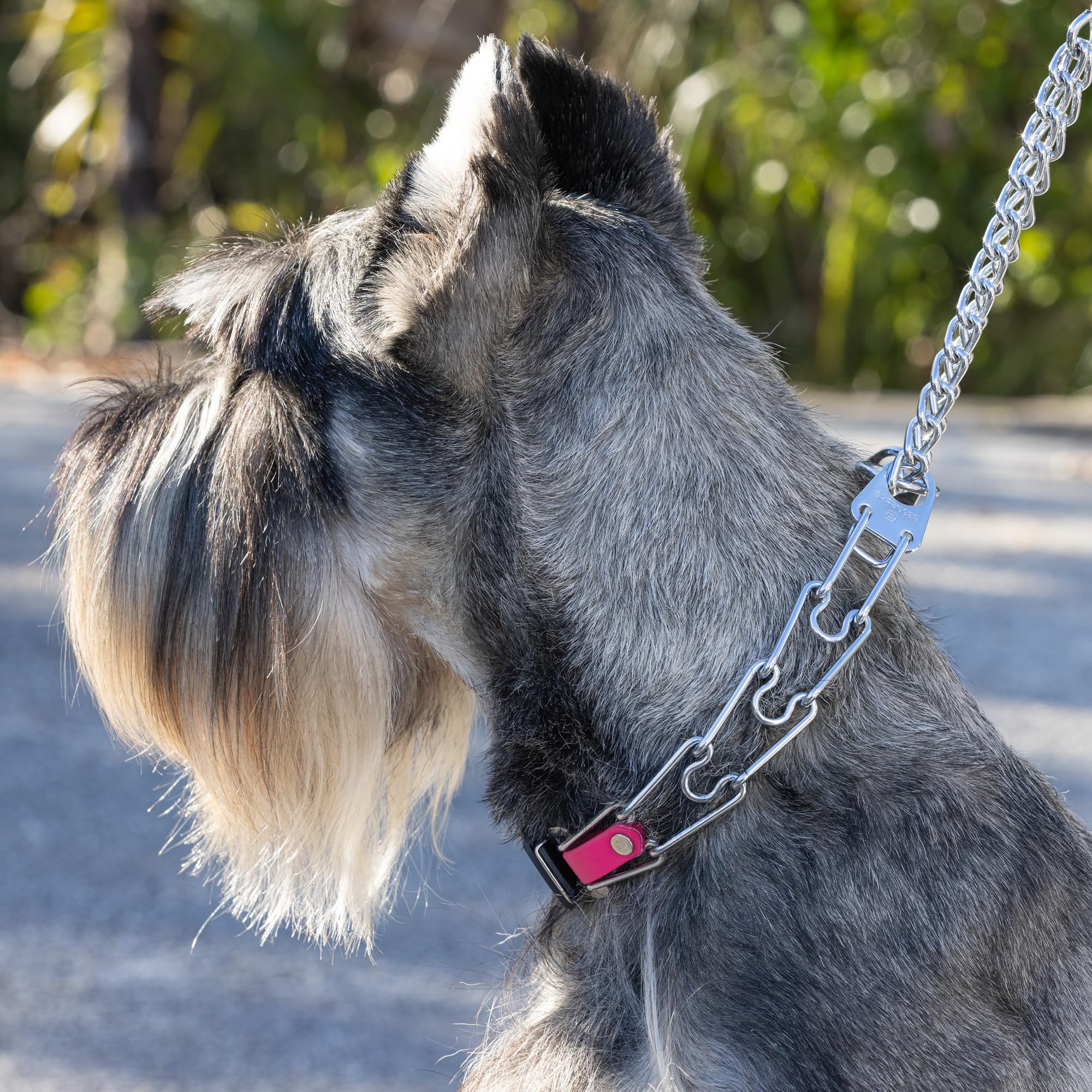 Herm Sprenger neck size guide helps accurate collar fit.