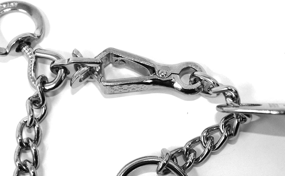 Secure buckle on Herm Sprenger collar enables quick removal after training.