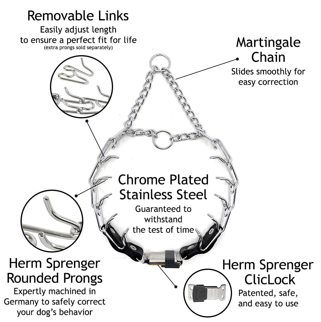 Herm Sprenger prong collar with cliclock buckle secures fit during daily walks