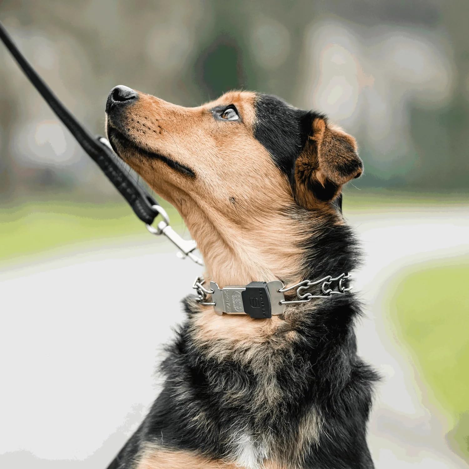 Herm Sprenger collar swivel D-Ring allows flexible leash movement