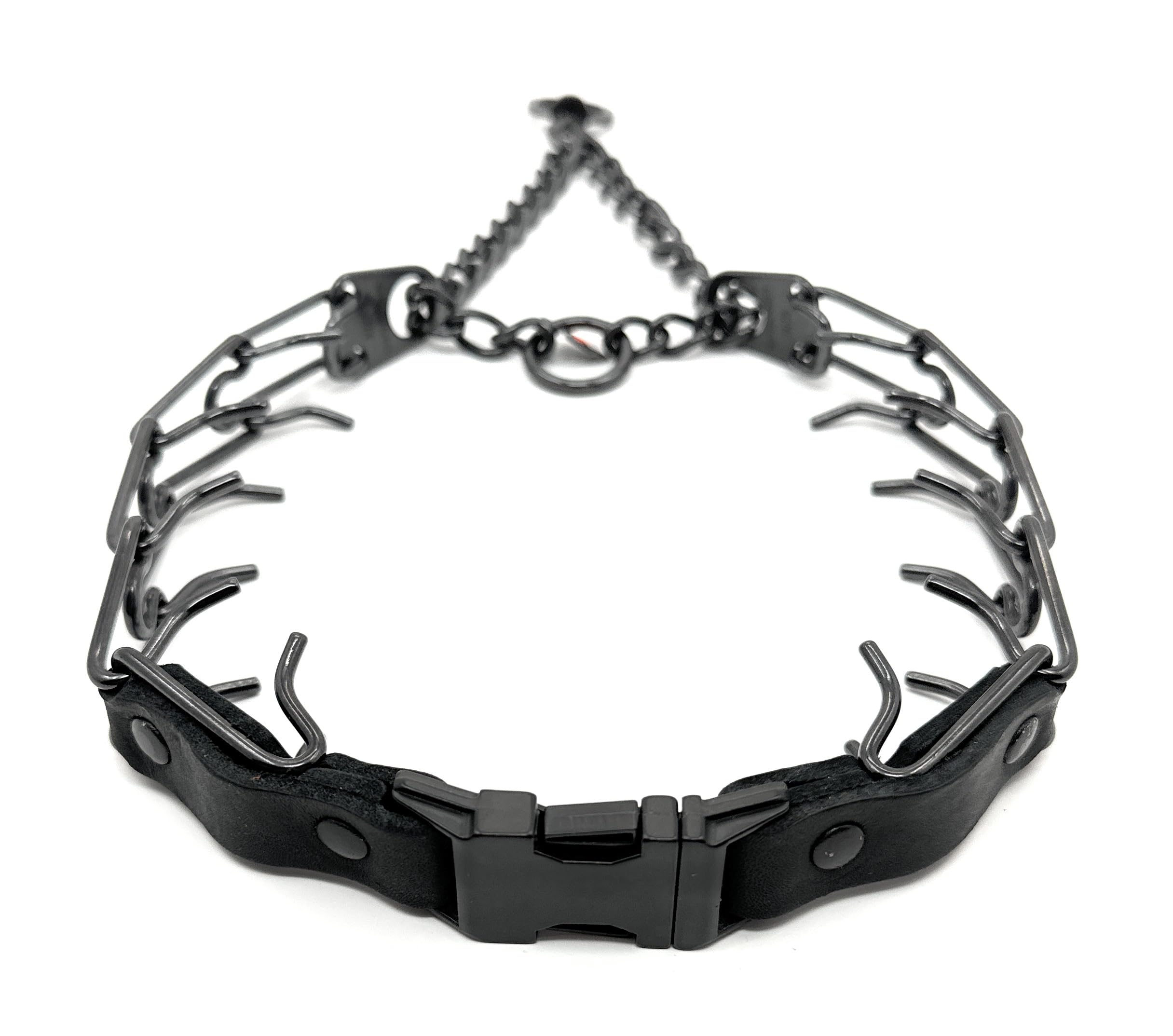 Herm Sprenger prong collar during quick-release buckle setup for easy training sessions.