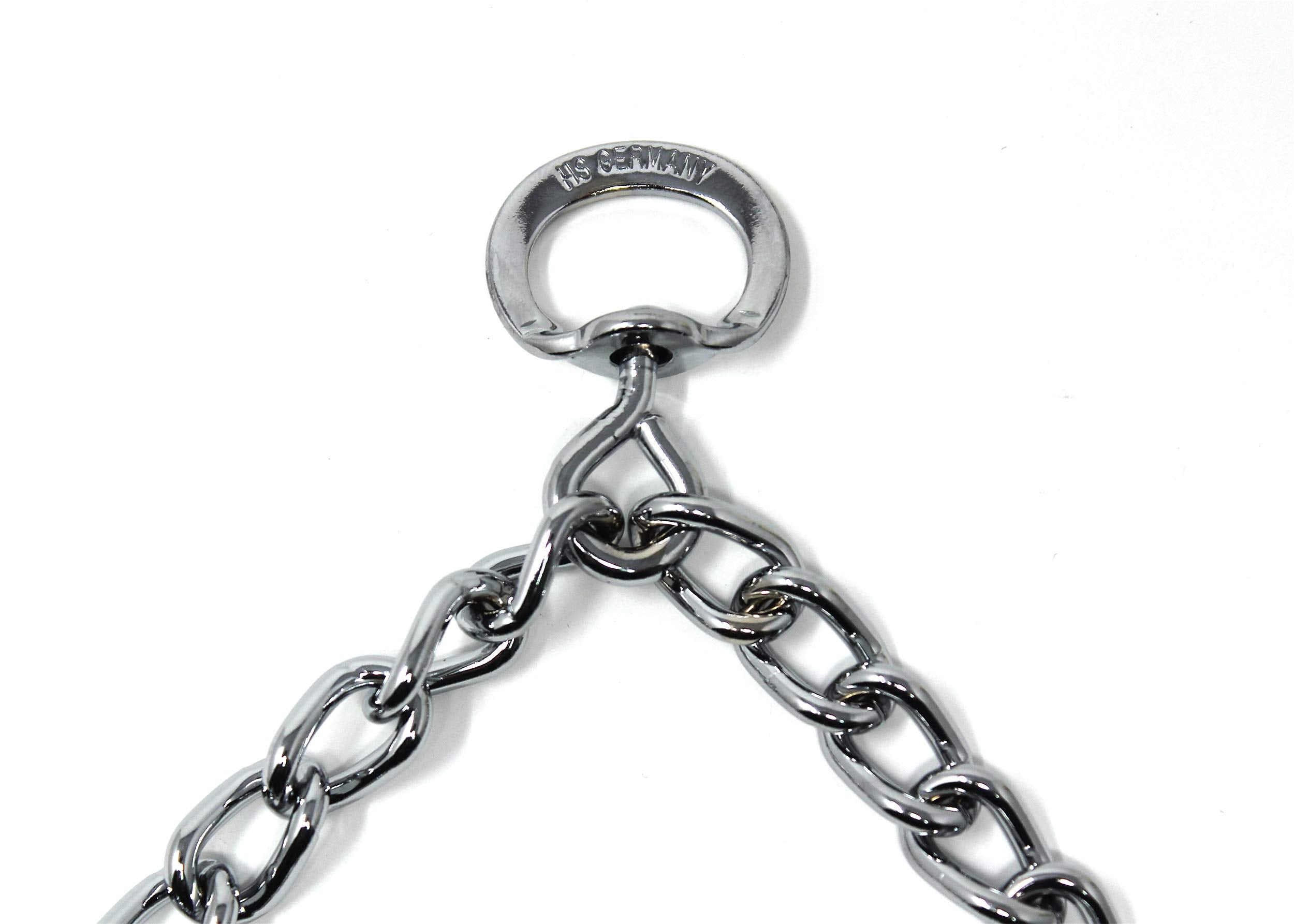 Herm Sprenger prong collar on dog during training session showing controlled tension