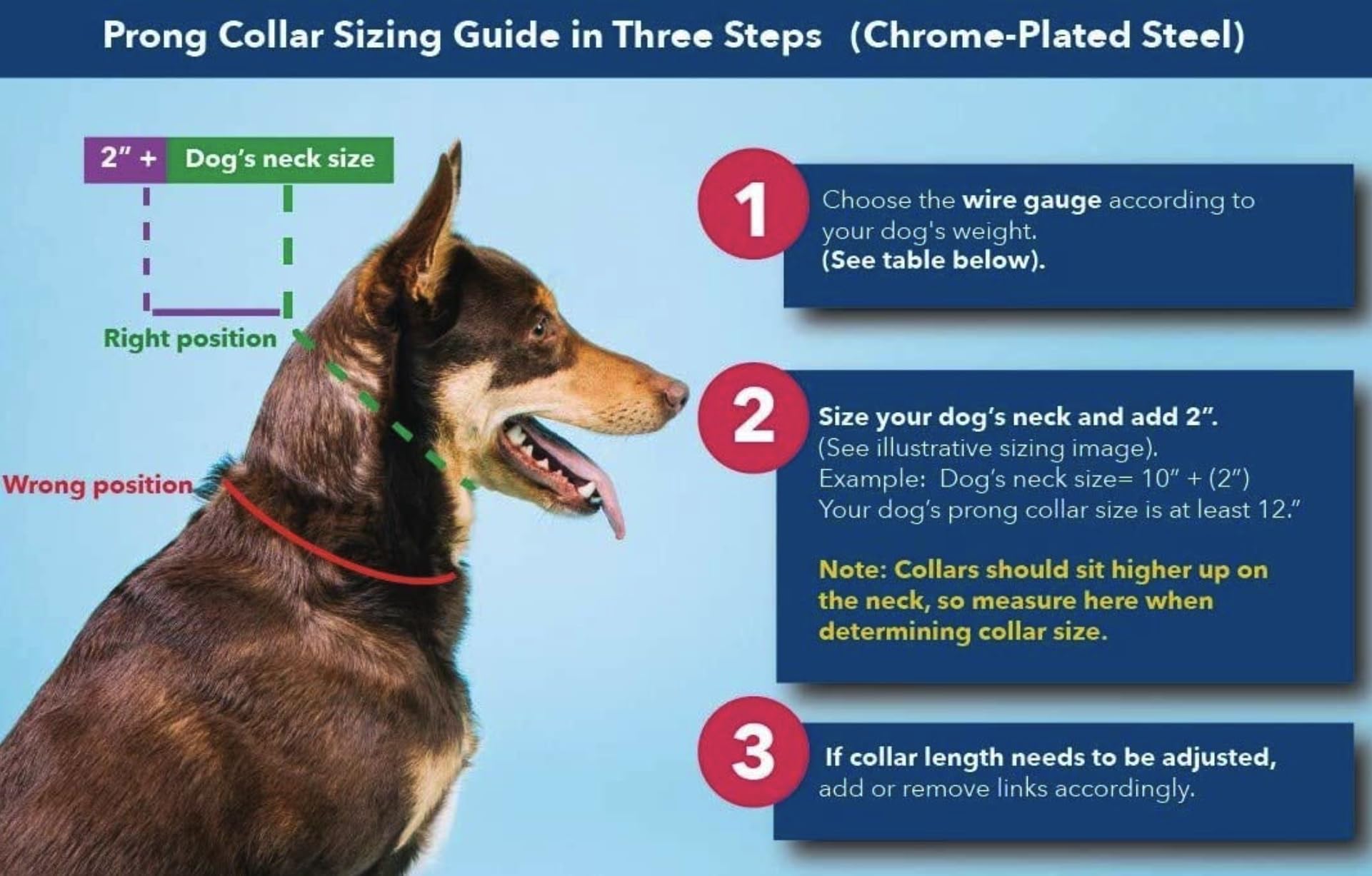 Herm Sprenger prong collar quick-release buckle enables easy, tangle-free walks.